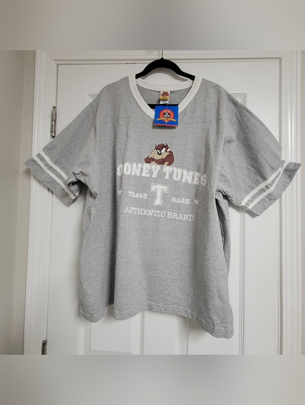 Vintage 1999 Looney Tunes Tasmanian Devil (Taz) NWT Gray Graphic T-Shirt.